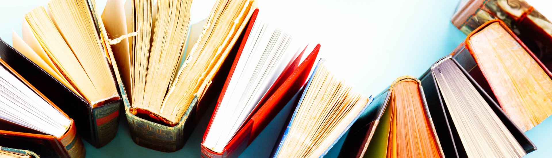 Books standing up on a table